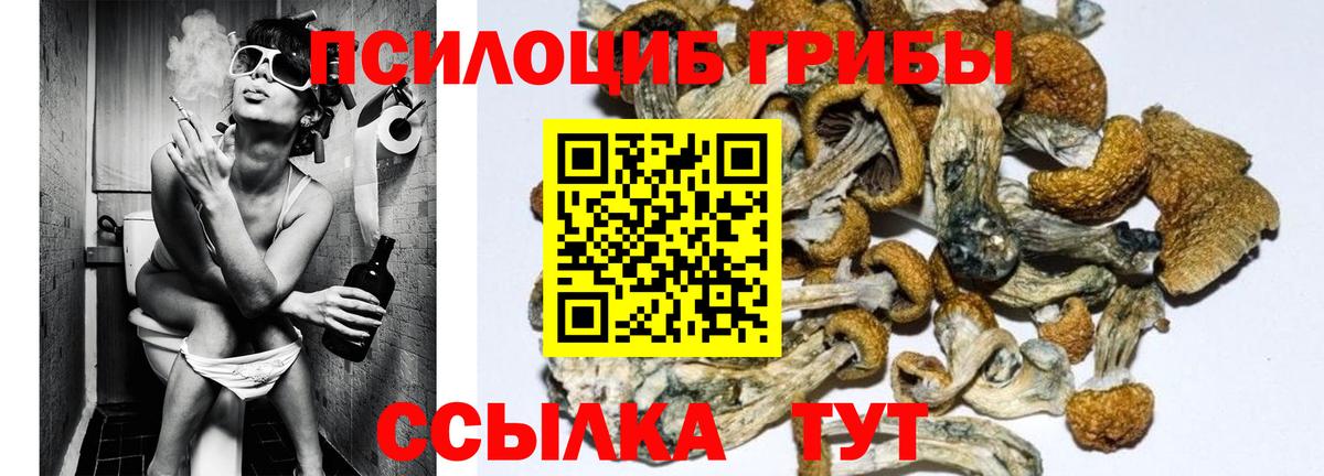 Псилоцибиновые грибы MAGIC MUSHROOMS Пушкино