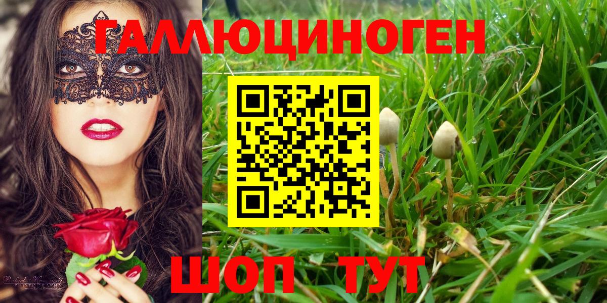 Галлюциногенные грибы Cubensis  Вход с VPN  Псилоцибиновые грибы Magic Shrooms  Пушкино 